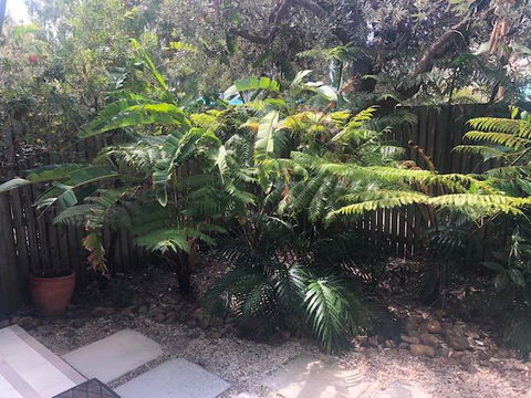East On Byron - Accommodation Europe 40