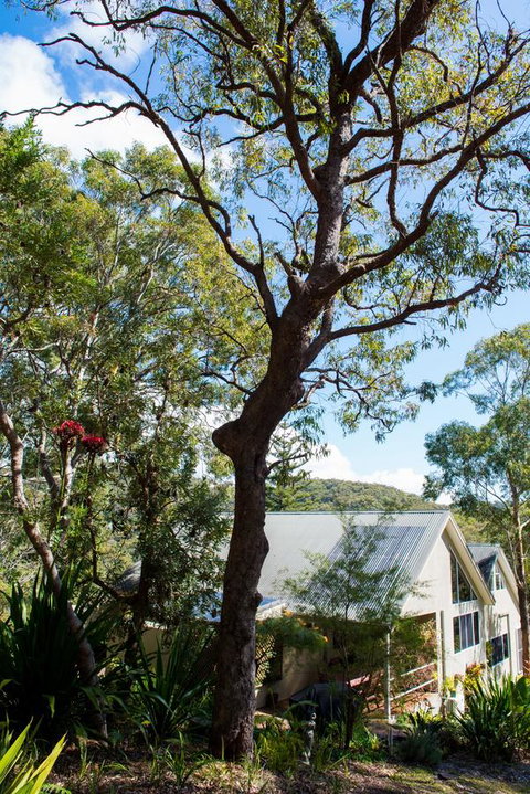 Nelson Bay Bed & Breakfast - Tourism Bookings 42