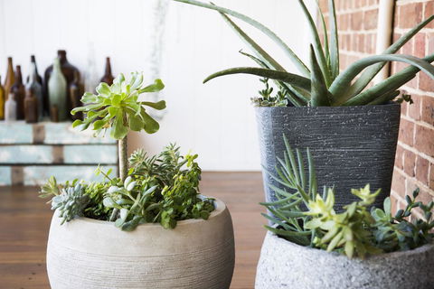 The Parkview Hotel Mudgee - Events Australia 35