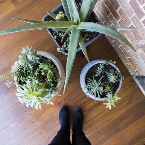 The Parkview Hotel Mudgee - Events Australia 33