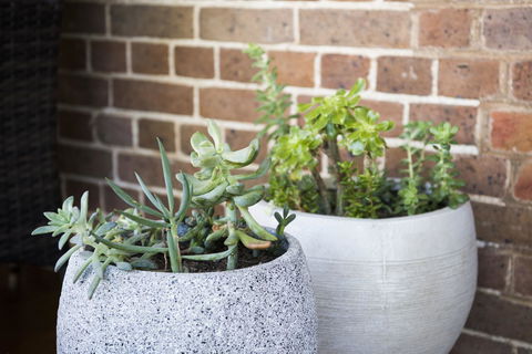 The Parkview Hotel Mudgee - Events Australia 34