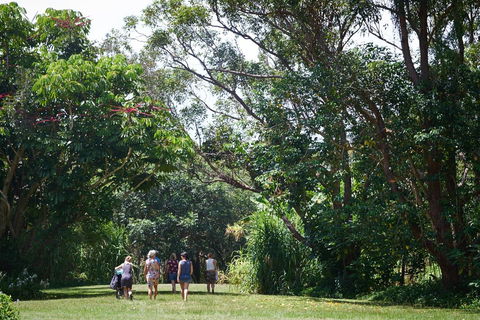 Ingenia Holidays Byron Bay - Accommodation Europe 11