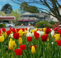 Nesuto Leura Gardens formerly Waldorf Leura Gardens Resort - Events Australia