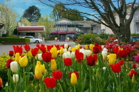 Book Leura Accommodation Vacations Tourism Bookings Tourism Bookings