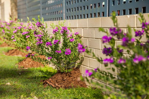 Kempsey Rose Motor Inn - Events Australia 15