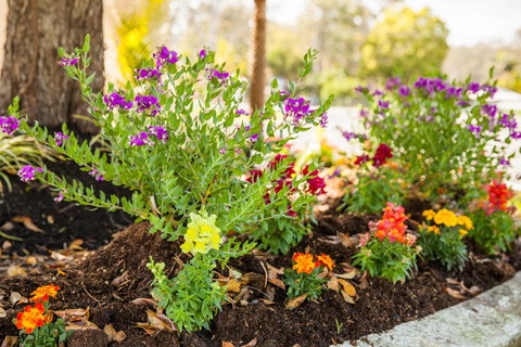 Kempsey Rose Motor Inn - Events Australia 28