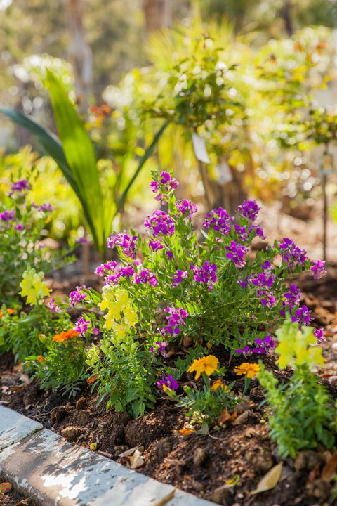 Kempsey Rose Motor Inn - Events Australia 6