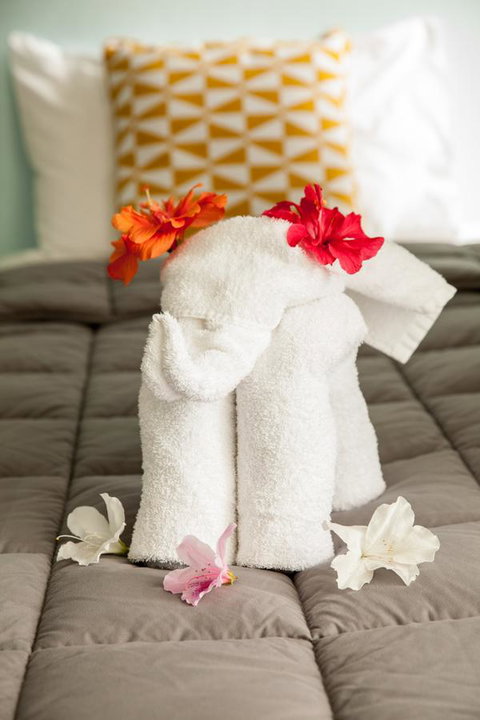 Kempsey Rose Motor Inn - Events Australia 17