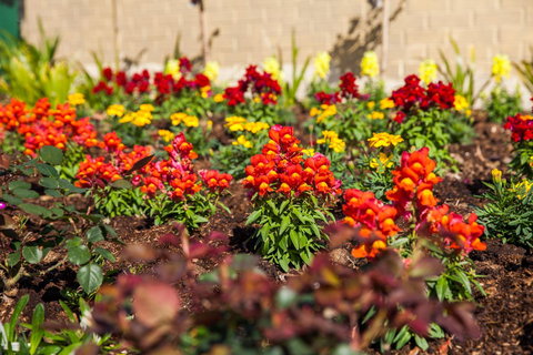 Kempsey Rose Motor Inn - Events Australia 20