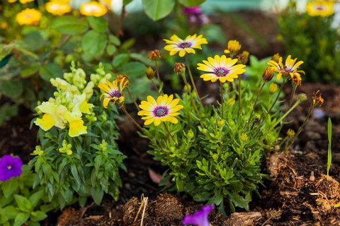 Kempsey Rose Motor Inn - Events Australia 39