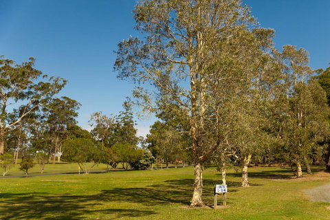 Kempsey Rose Motor Inn - Events Australia 32