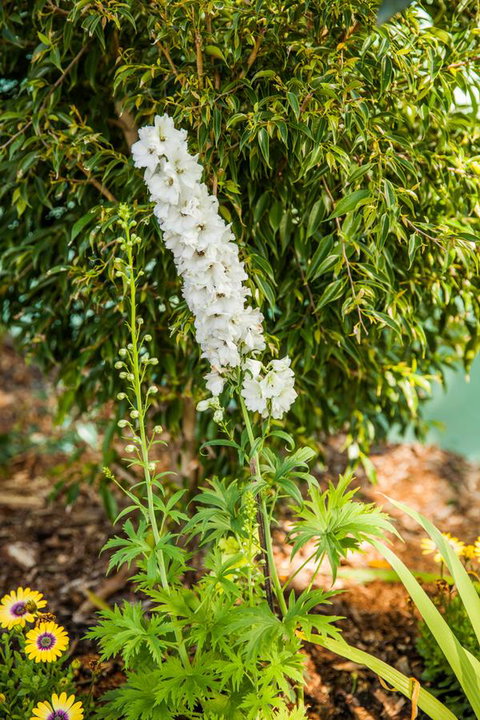 Kempsey Rose Motor Inn - Events Australia 37