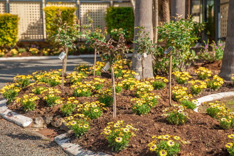 Kempsey Rose Motor Inn - Events Australia 23