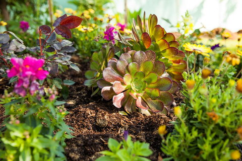 Kempsey Rose Motor Inn - Events Australia 35