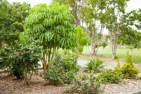 Kempsey Rose Motor Inn - Events Australia 42