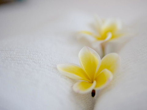 Cossies By The Sea - Accommodation Europe 16