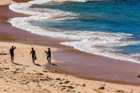 Seabreeze @ Mona Vale - Tourism Bookings 17
