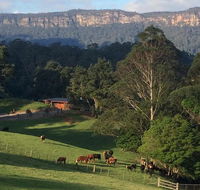 Amaroo Valley Springs - Tourism Bookings