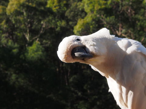 Bundle Hill Cottages - Events Australia 1