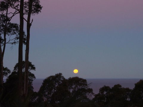 Bundle Hill Cottages - Events Australia 36