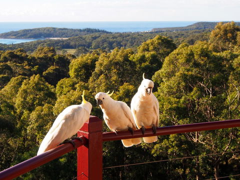 Bundle Hill Cottages - Events Australia 2