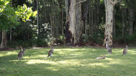 Bundle Hill Cottages - Events Australia 15