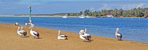 Pelican Motor Inn - Events Australia 29