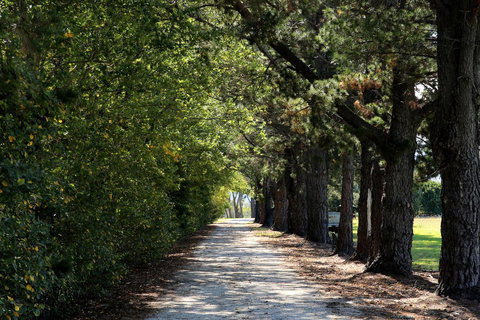 Terara Riverside Retreat - Events Australia 26