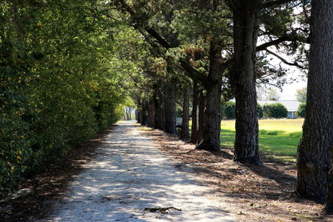 Terara Riverside Retreat - Events Australia 30