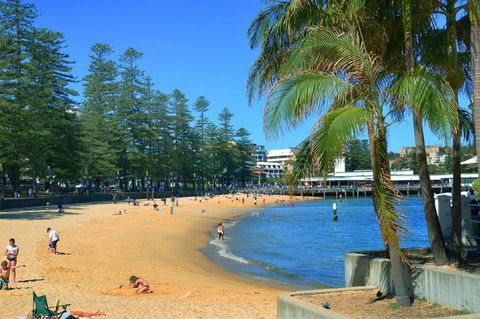 Oversized 2 Bedroom Manly Beach House - Tourism Bookings 14
