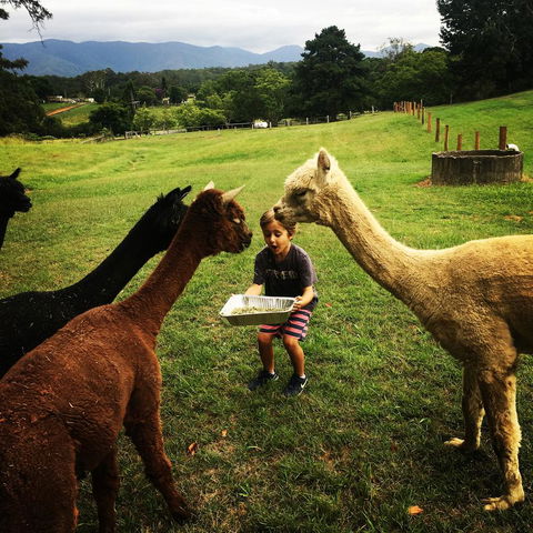 The Lodge Bellingen - Events Australia 44