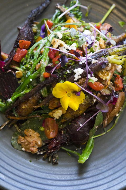 Sage Hotel Wollongong - Tourism Bookings 21