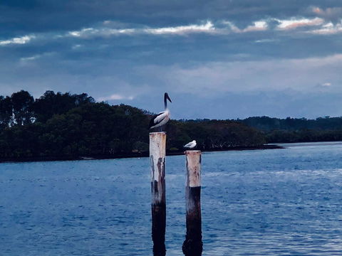 Boathouse Resort (Water Front) - Events Australia 15