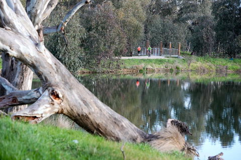 Mercure Albury - Accommodation Europe 15