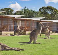Discovery Parks  Pambula Beach - Events Australia