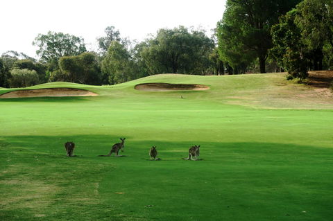 Mulwala Resort - Tourism Bookings 40