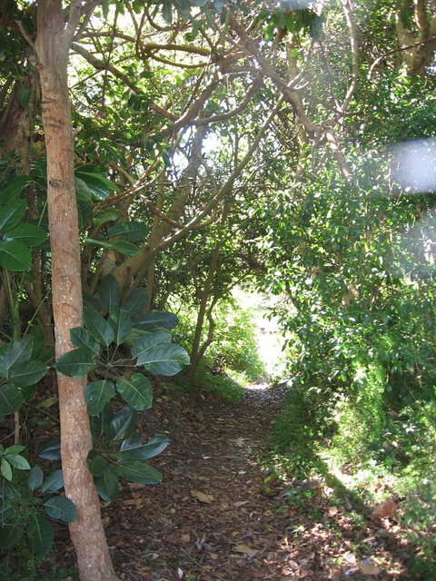 Wollongbar Motel - Tourism Bookings 10