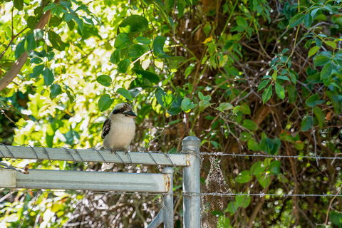 Wollongbar Motel - Tourism Bookings 8