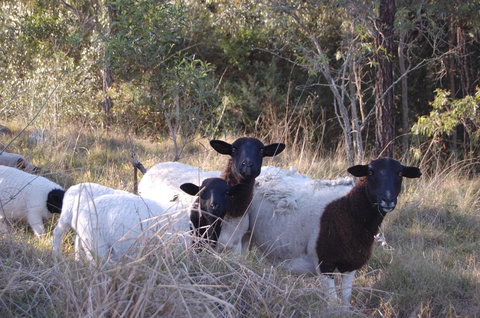 Cadair Cottages - Accommodation Europe 15