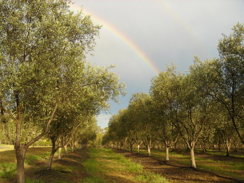 Adina Vineyard - Events Australia 19