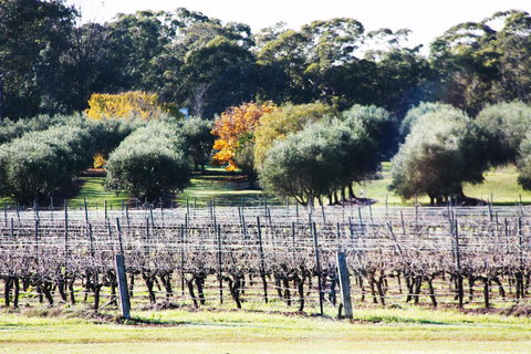 Adina Vineyard - Events Australia 15