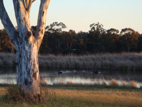 Adina Vineyard - Events Australia 10