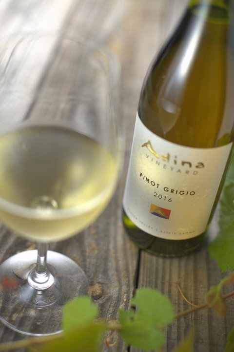 Adina Vineyard - Events Australia 7