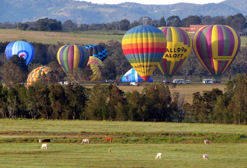 Adina Vineyard - Events Australia 9