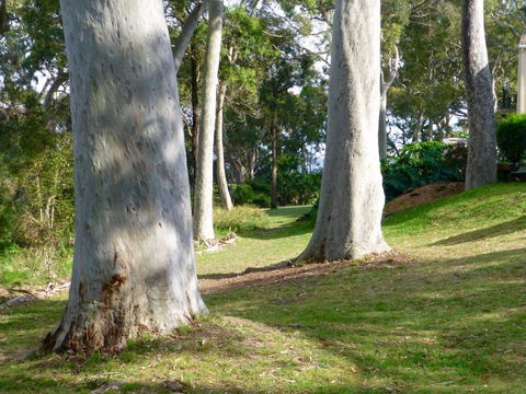 The Retreat At Palm Beach - Tourism Bookings 4