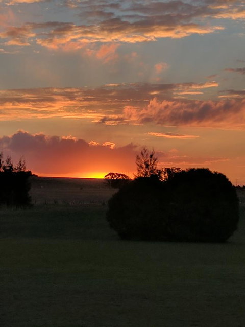 Madigan Wine Country Cottages - Accommodation Europe 13