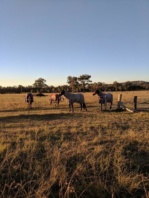 Madigan Wine Country Cottages - Accommodation Europe 8