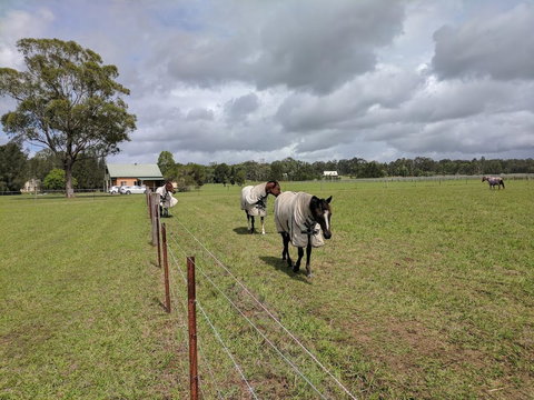 Madigan Wine Country Cottages - Accommodation Europe 9