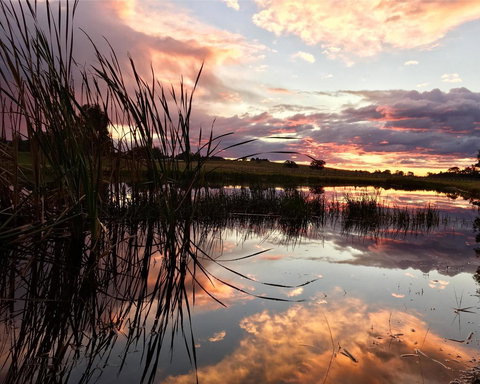 Madigan Wine Country Cottages - Accommodation Europe 16