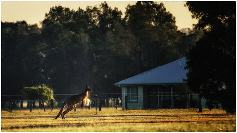 Madigan Wine Country Cottages - Accommodation Europe 5